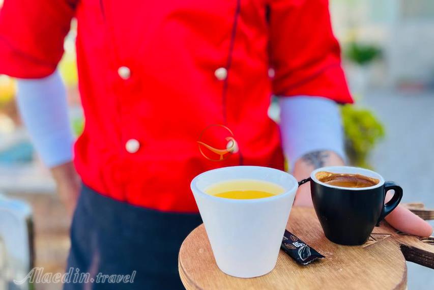 هتل نگارستان نیکا (پارمیس سابق) علی آباد کتول | علاءالدین تراول