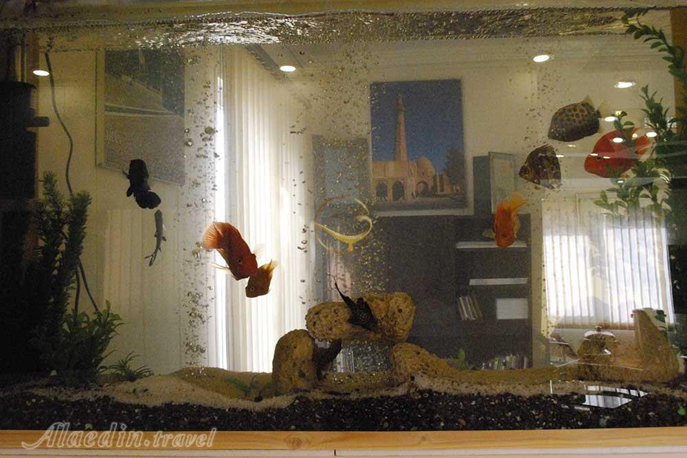 لابی هتل کارون اصفهان | علاءالدین تراول