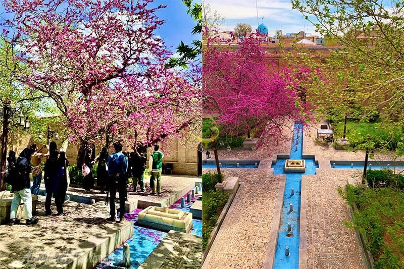 عکس های بوتیک هتل قهرمانی قزوین