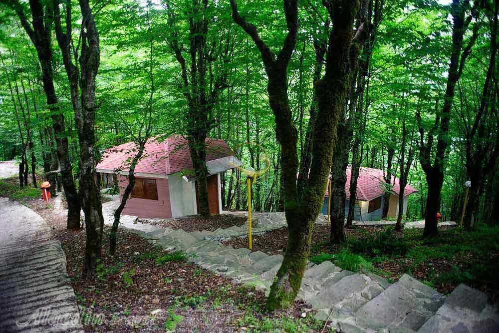 کلبه هتل 4 ستاره بام سبز رامسر | علاءالدین تراول