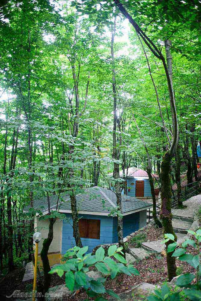 کلبه هتل 4 ستاره بام سبز رامسر | علاءالدین تراول