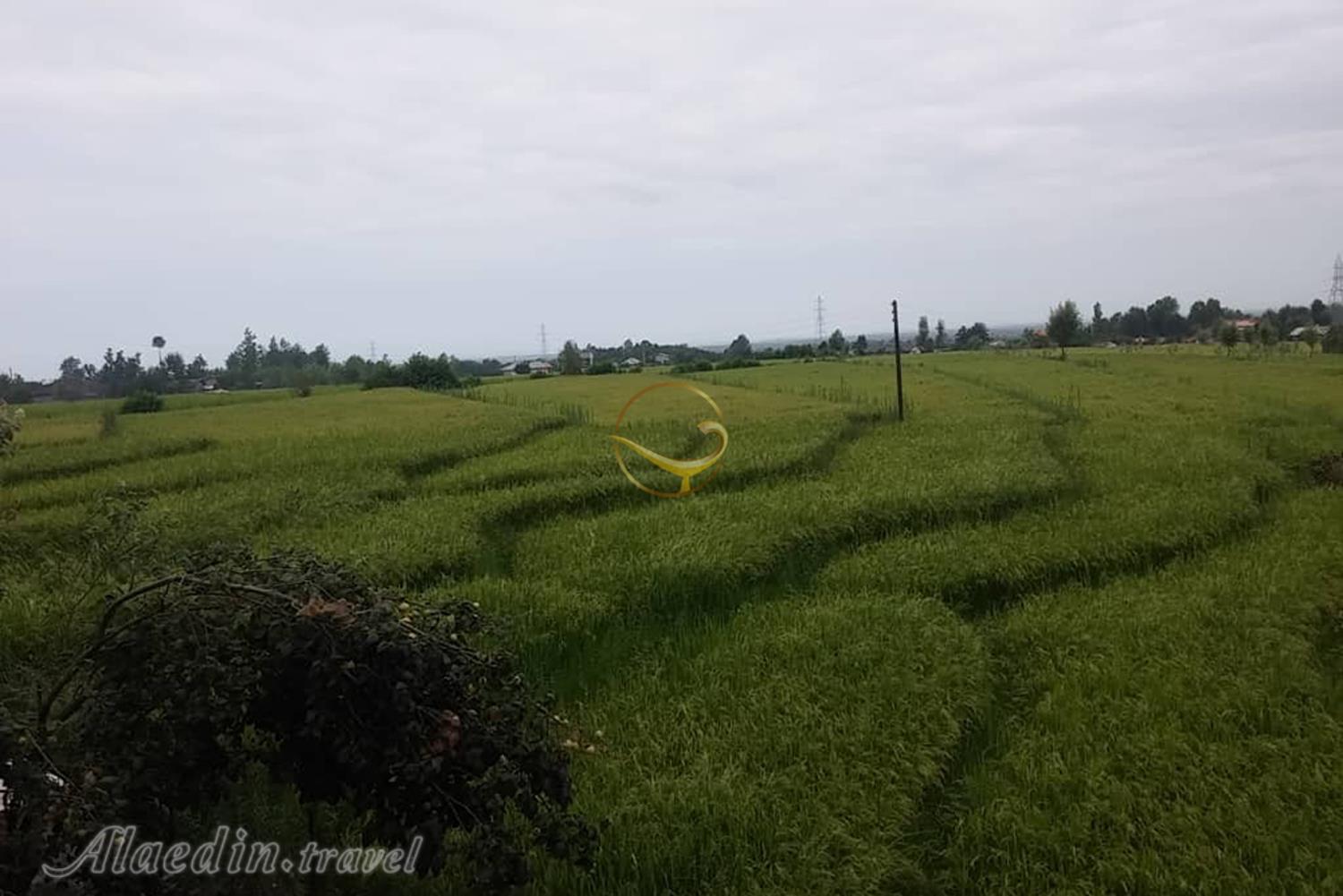 اقامتگاه بوم گردی گلناز رضوانشهر | علاءالدین تراول