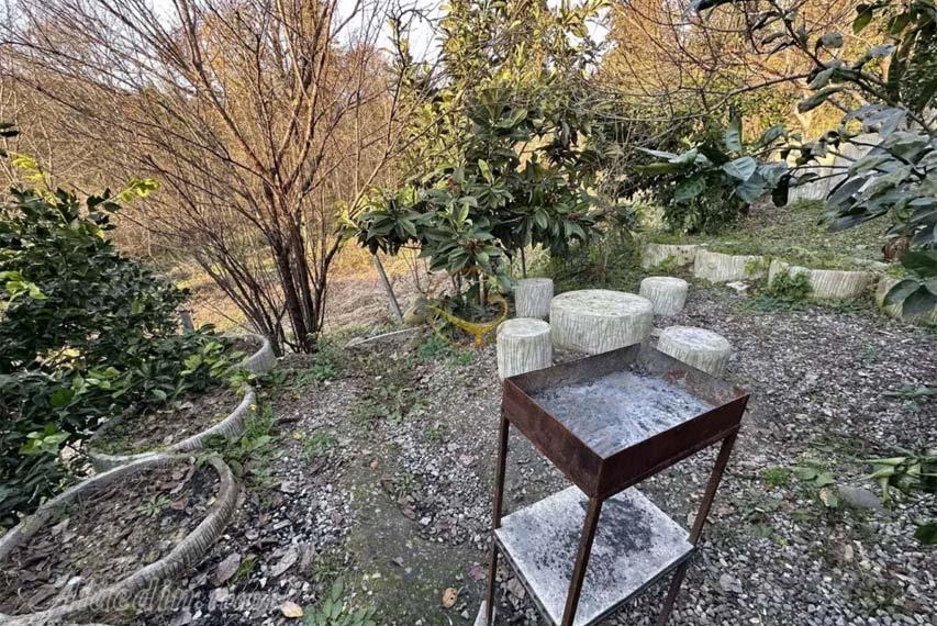 واحد صنوبر هتل دنسه بام هیرکانی سوادکوه | علاالدین تراول