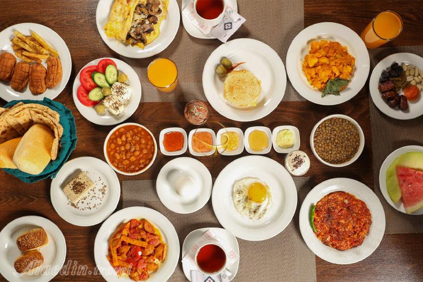 هتل الیزه شیراز | علاءالدین تراول