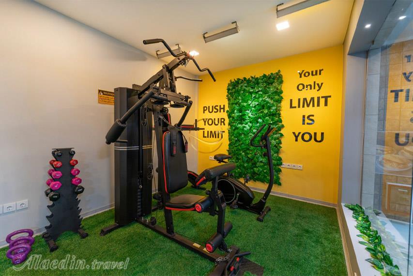 هتل الیزه شیراز | علاءالدین تراول