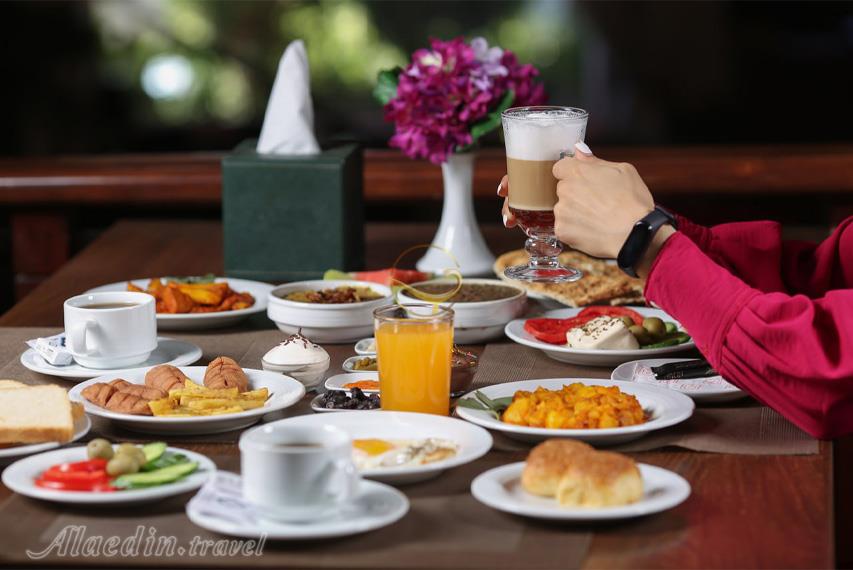 هتل الیزه شیراز | علاءالدین تراول