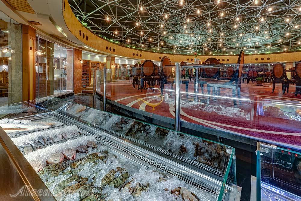 هتل بزرگ شیراز | علاءالدین تراول