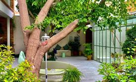 بوتیک هتل پاسیو شیراز