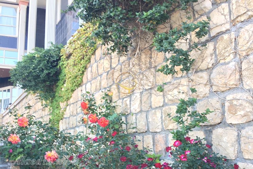 هتل رضا شیروان | علاالدین تراول