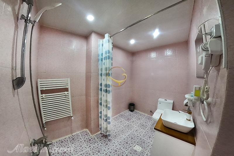 عکس های هتل سنتی رویای قدیم یزد