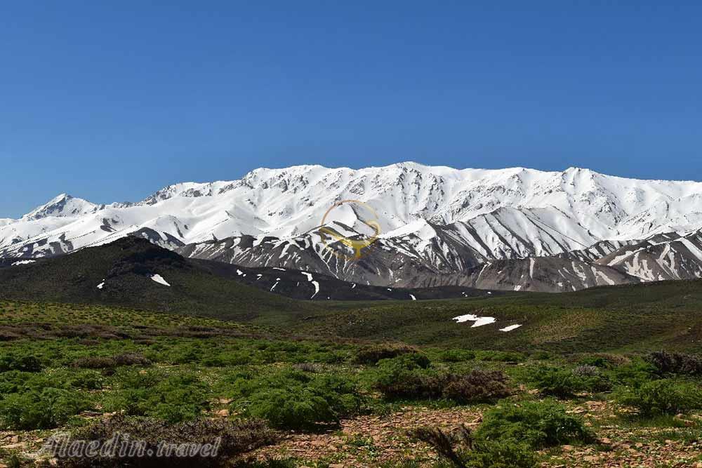 قالی کوه یا غالیه کوه الیگودرز | علاءالدین تراول