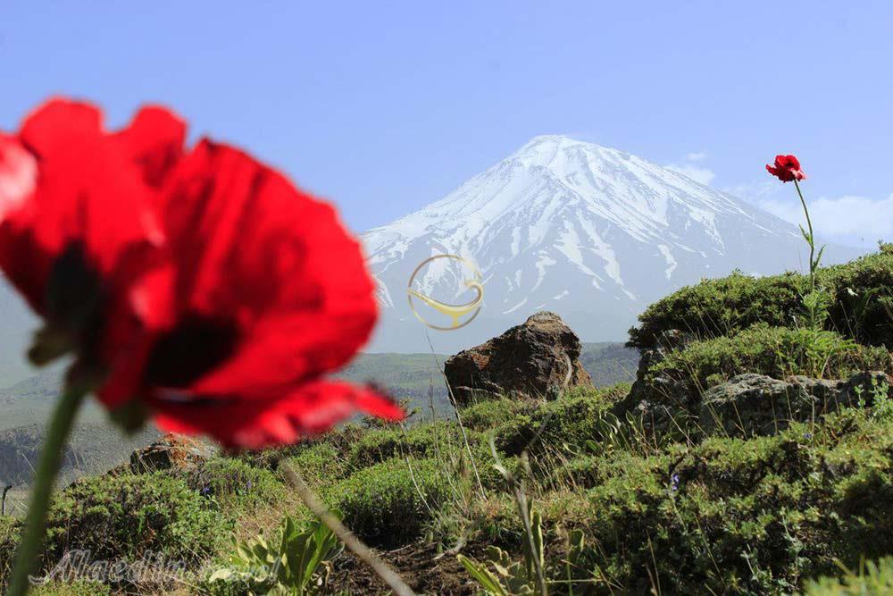 نمای کوه دماوند از پلور | علاءالدین تراول
