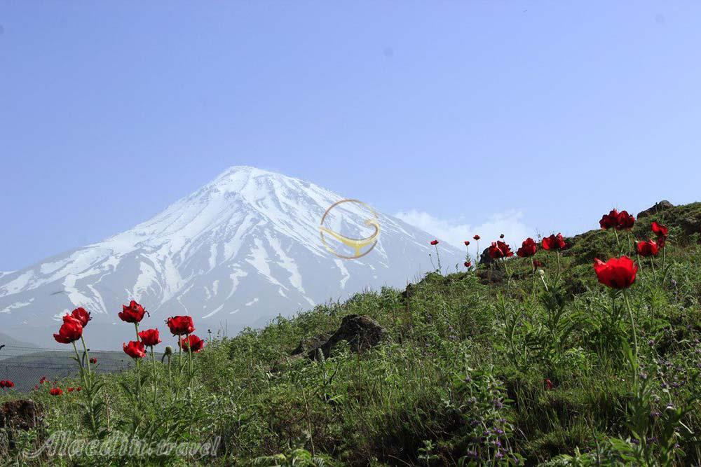 نمای قله دماوند از پلور | علاءالدین تراول
