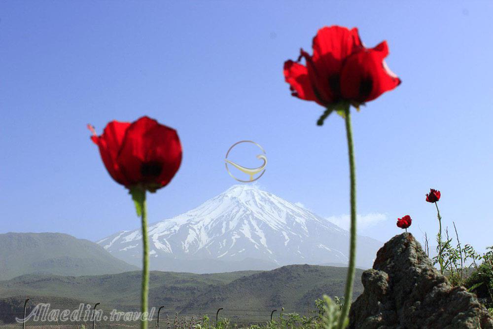 نمای کوه دماوند از پلور | علاءالدین تراول