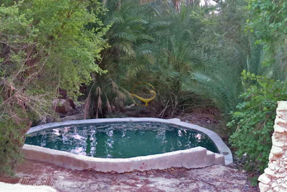 چشمه نهیر روستای بندو در عسلویه | علاءالدین تراول