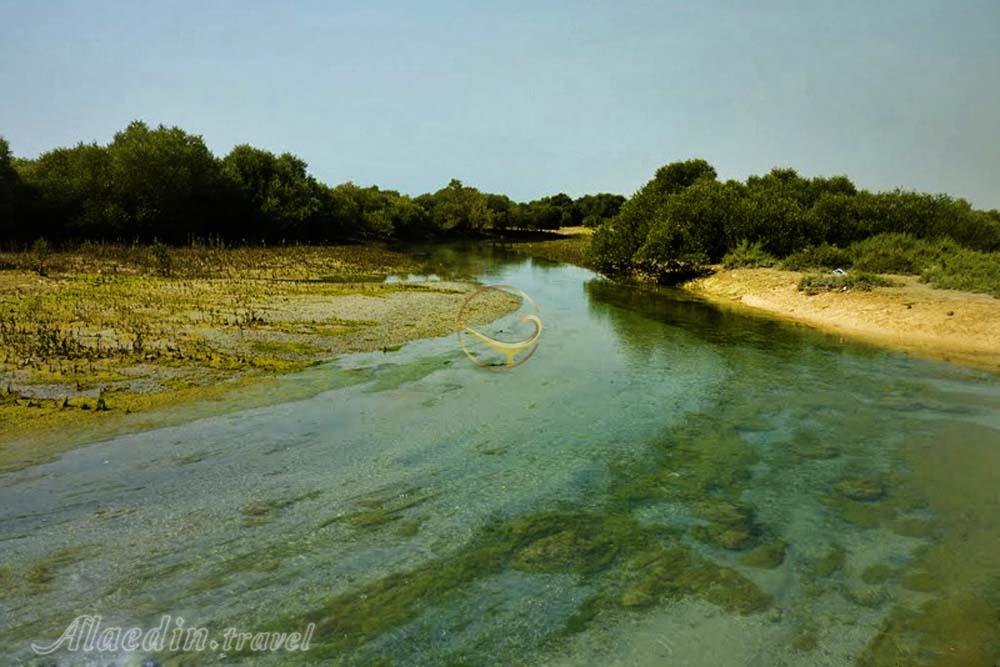 خلیج نایبند در عسلویه | علاءالدین تراول