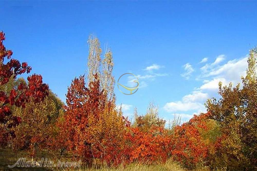 چشمه نگار من در بسطام | علاءالدین تراول