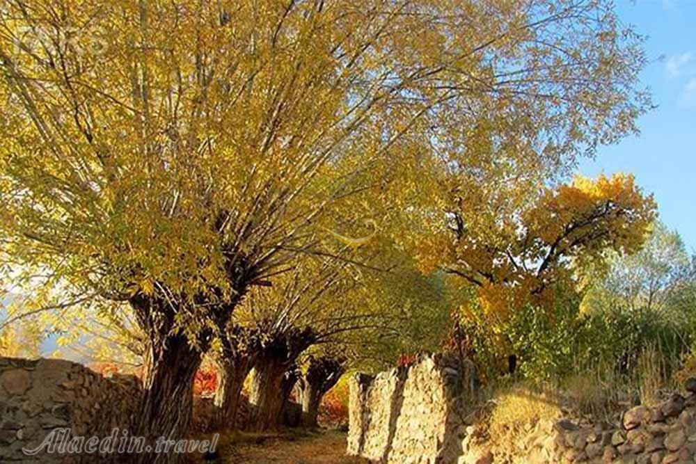 چشمه نگار من در بسطام | علاءالدین تراول