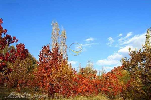 چشمه نگارمن در بسطام (نکارمن)