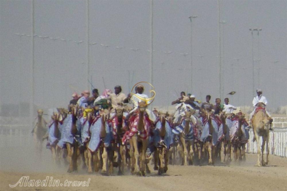 مسیر شترسواری الشحانیا دوحه - قطر | علاءالدین تراول