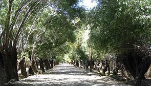 روستای باغستان عليا فردوس