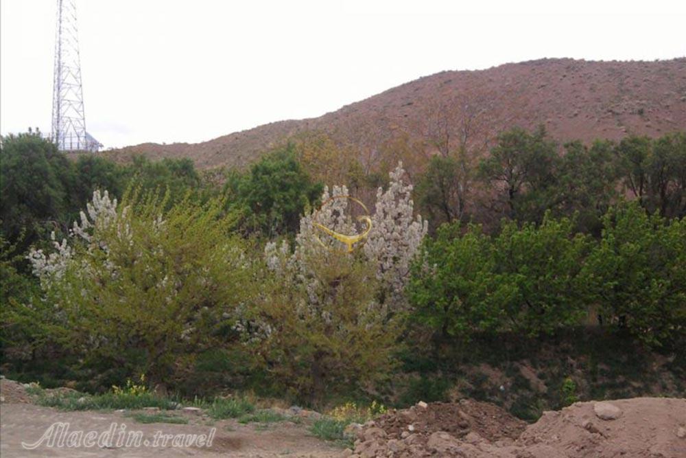 روستای بیدسکان فردوس | علاءالدین تراول