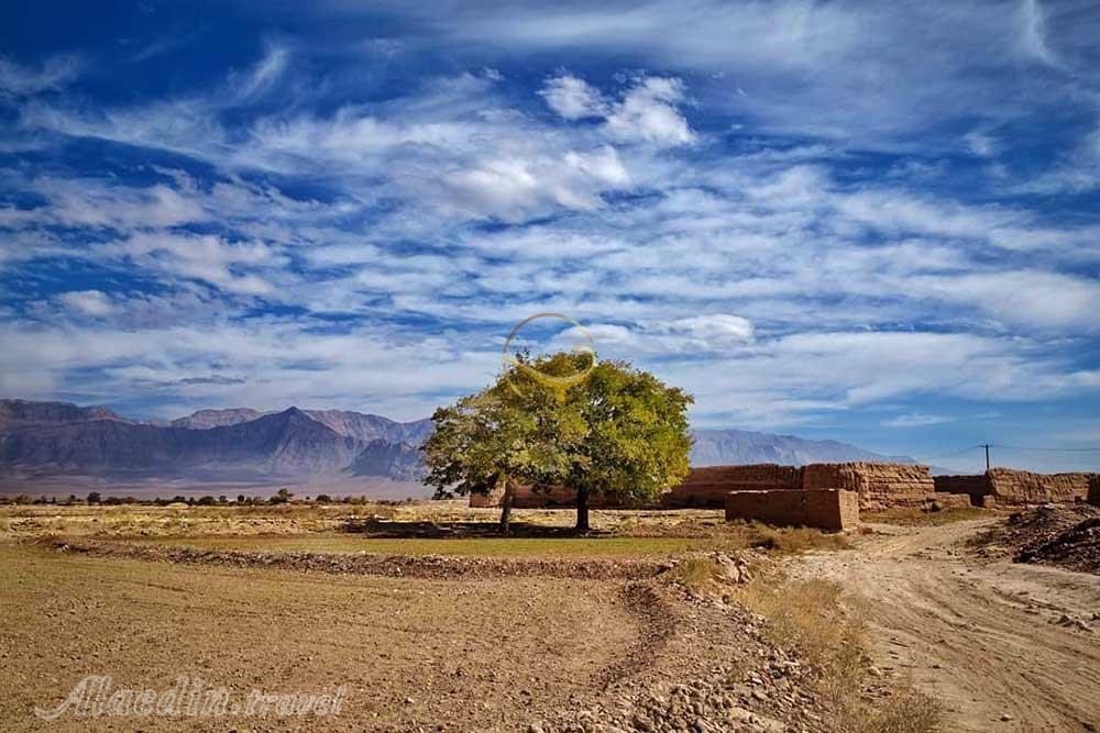 روستای قناتغستان در ماهان | علاءالدین تراول