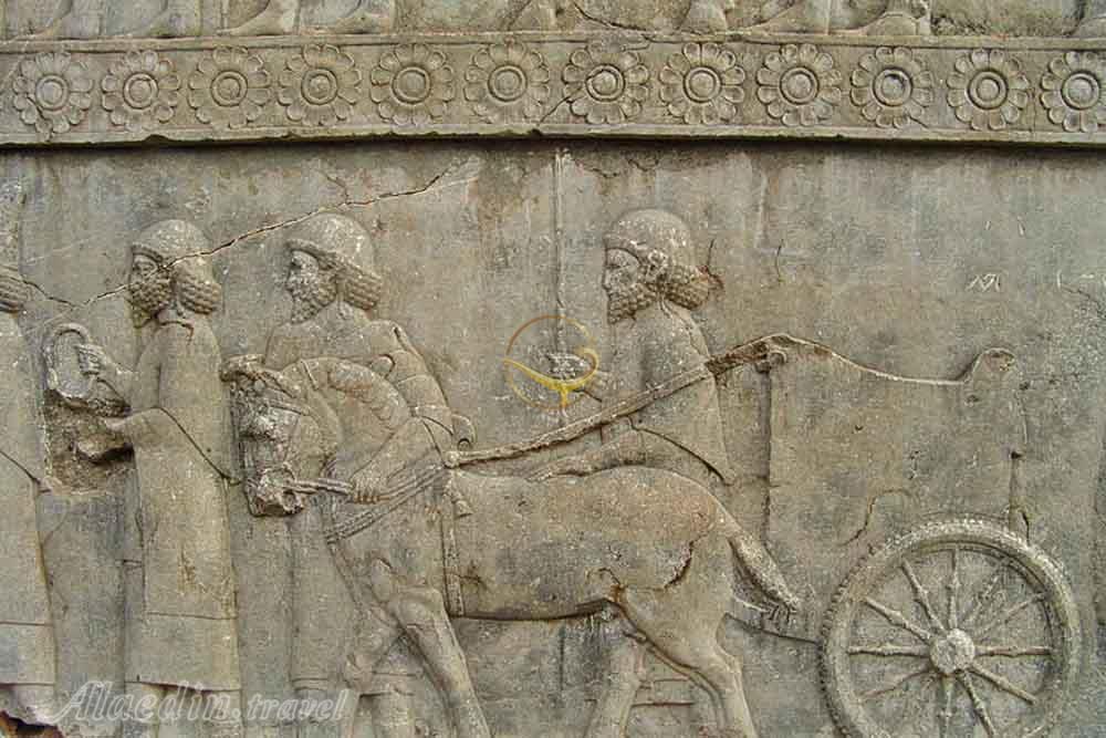 سنگ نگاره هدیه آوران در تخت جمشید | علاءالدین تراول