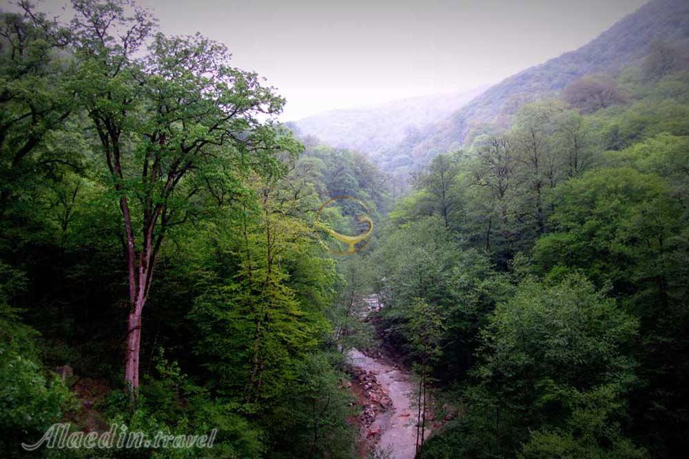 جنگل فینسک مهدیشهر | علاءالدین تراول