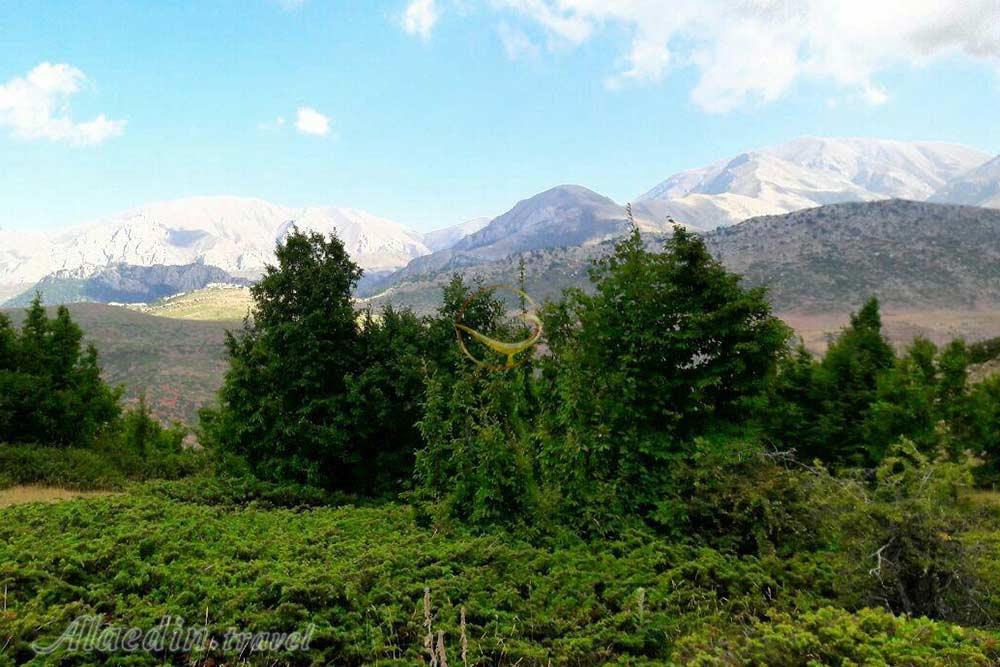 جنگل فینسک مهدیشهر | علاءالدین تراول