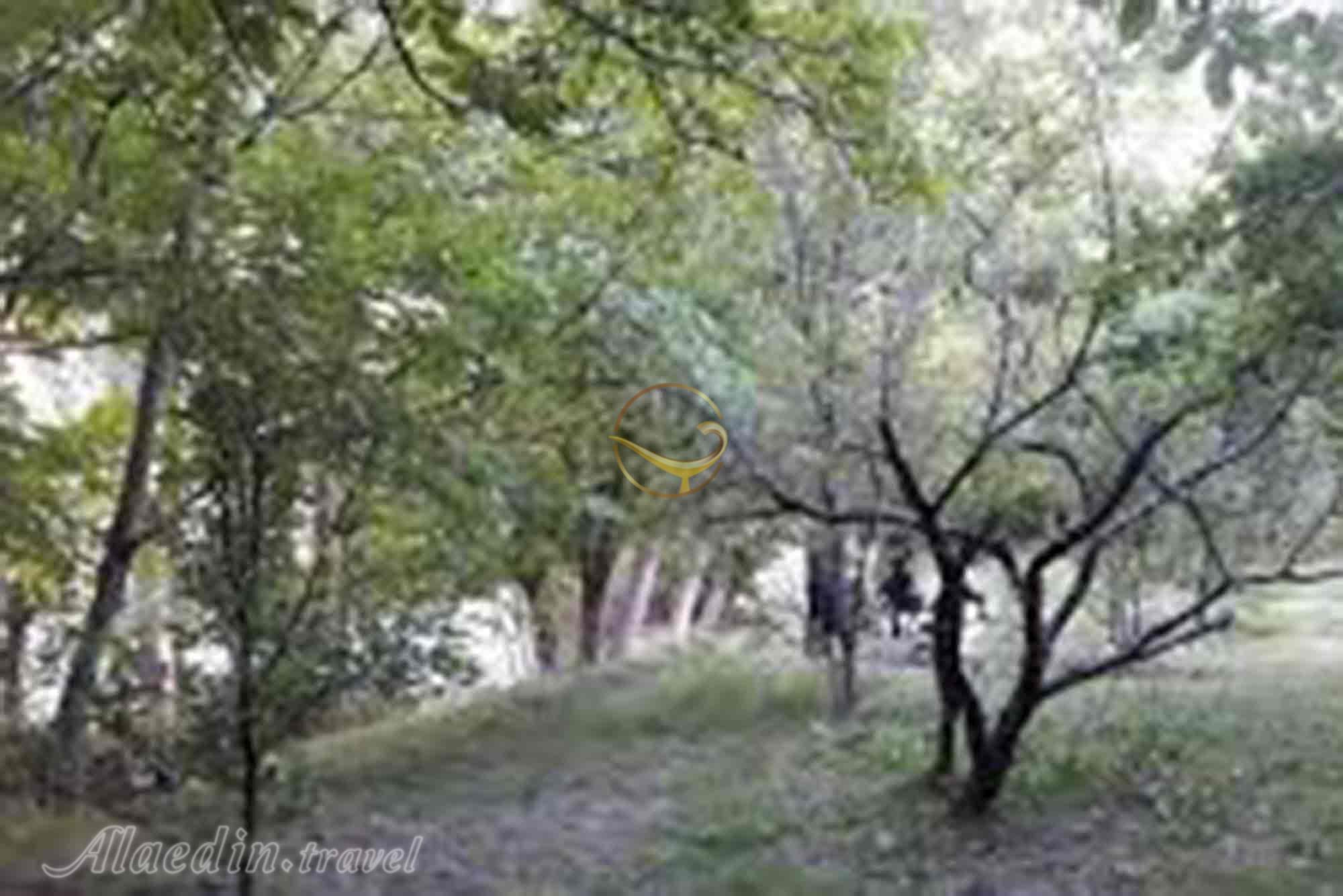 منطقه رودبارک در مهدیشهر | علاءالدین تراول