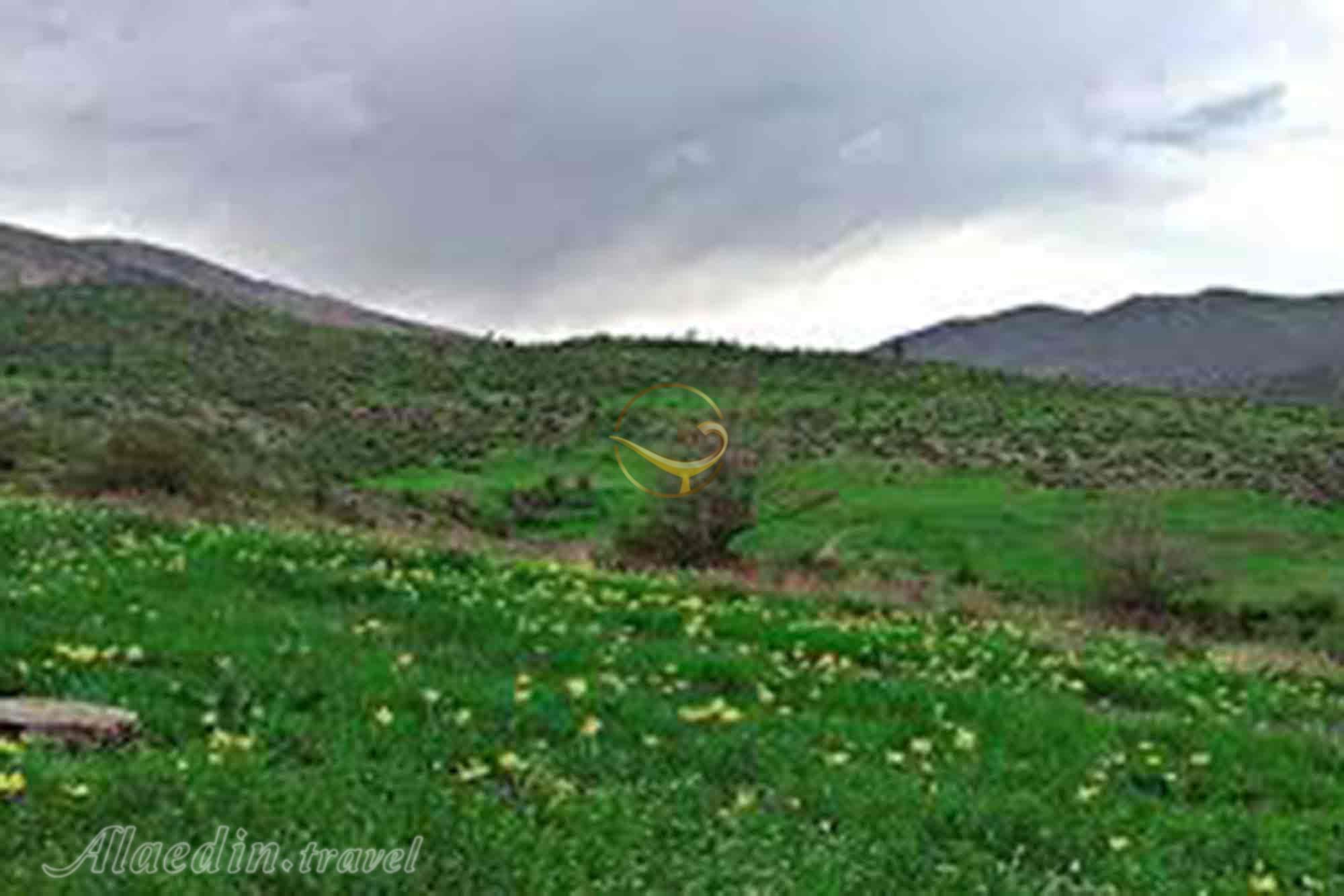 منطقه رودبارک در مهدیشهر | علاءالدین تراول