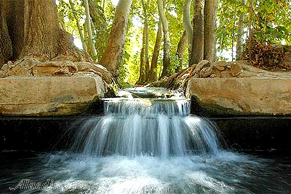 باغ پهلوان‌پور مهریز - باغ های ایرانی | علاءالدین تراول