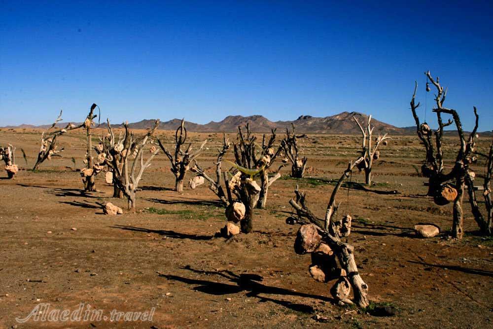 باغ سنگی سیرجان | علاءالدین تراول