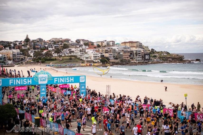 ساحل بوندی سیدنی | علاالدین تراول