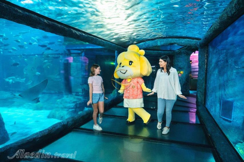 آکواریوم SEA LIFE سیدنی | علاالدین تراول