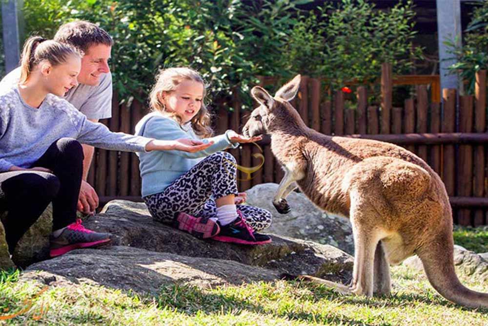 باغ وحش تارونگا سیدنی - استرلیا | علاءالدین تراول