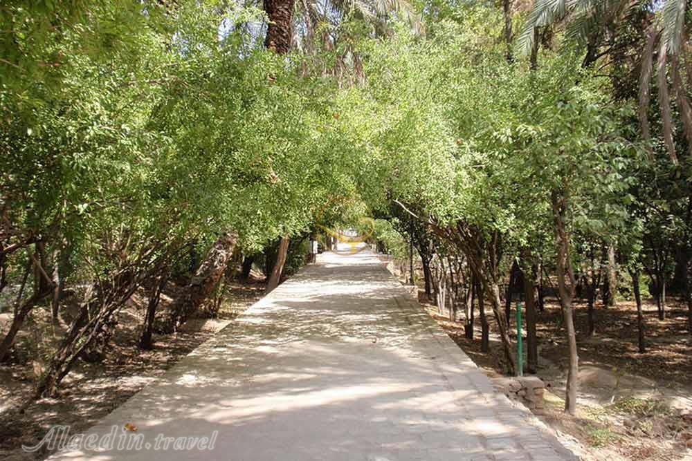 باغ گلشن طبس | علاءالدین تراول