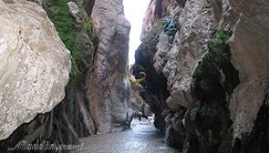 چشمه مرتضی علی طبس