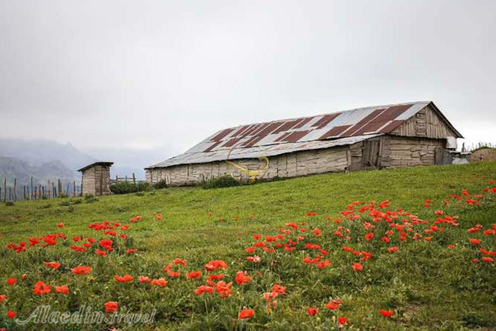 منطقه ییلاقی سوباتان در تالش | علاءالدین تراول