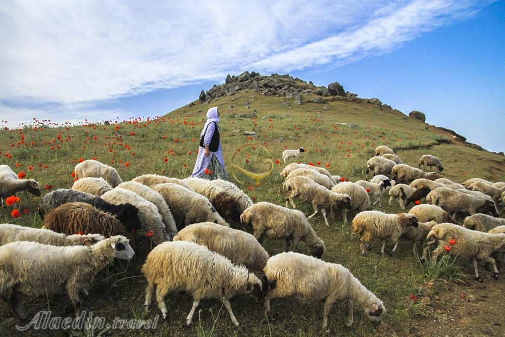 منطقه ییلاقی سوباتان در تالش | علاءالدین تراول