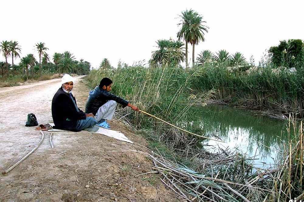 جزیره مینو در آبادان | علاءالدین تراول