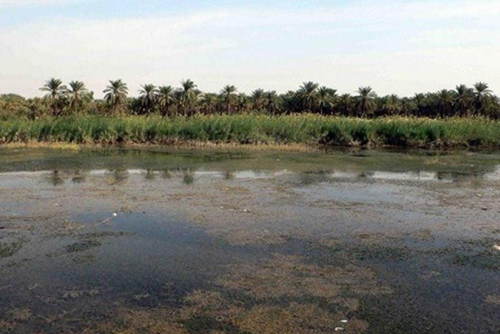 جزیره مینو در آبادان | علاءالدین تراول