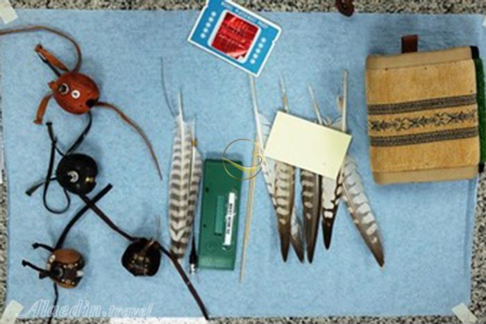 بیمارستان شاهین ها ابوظبی - امارات متحده عربی