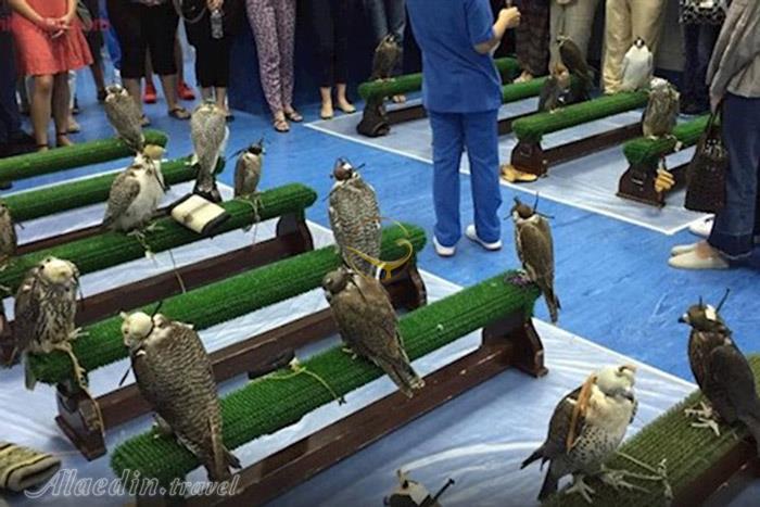 بیمارستان شاهین ها ابوظبی - امارات متحده عربی