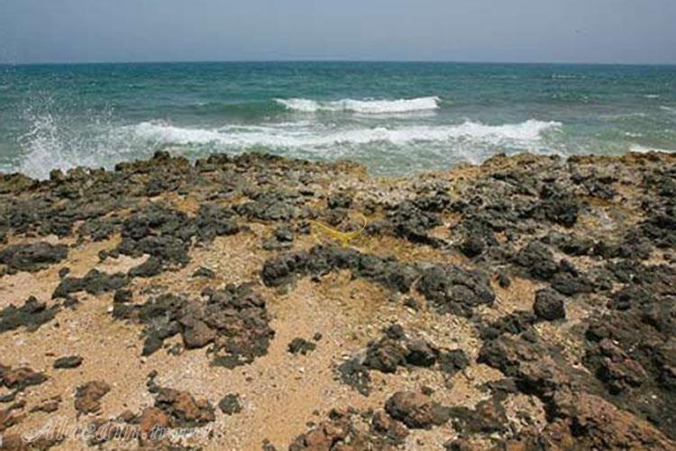 ساحل ابوموسی