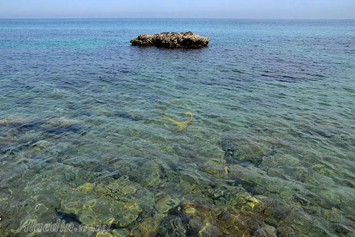 ساحل ابوموسی