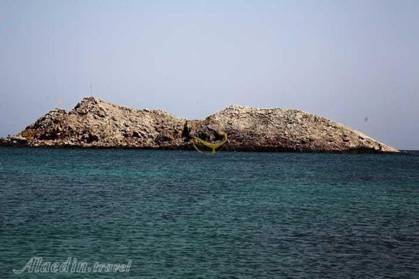 ساحل ابوموسی