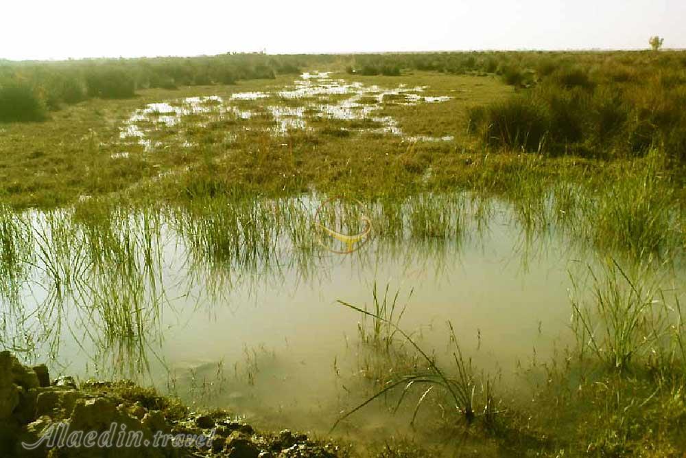 تالاب بامدژ اهواز | علاءالدین تراول