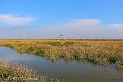 تالاب بامدژ اهواز